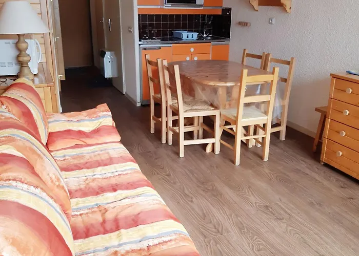 Apartment 4 Pers Au Pied Des Pistes, Centre - Fr-1-516-18